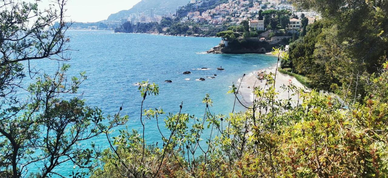 Vue Magnifique, Piscine Privee Chauffee Et Sauna A 10Min De Monaco Roquebrune-Cap-Martin Exteriér fotografie